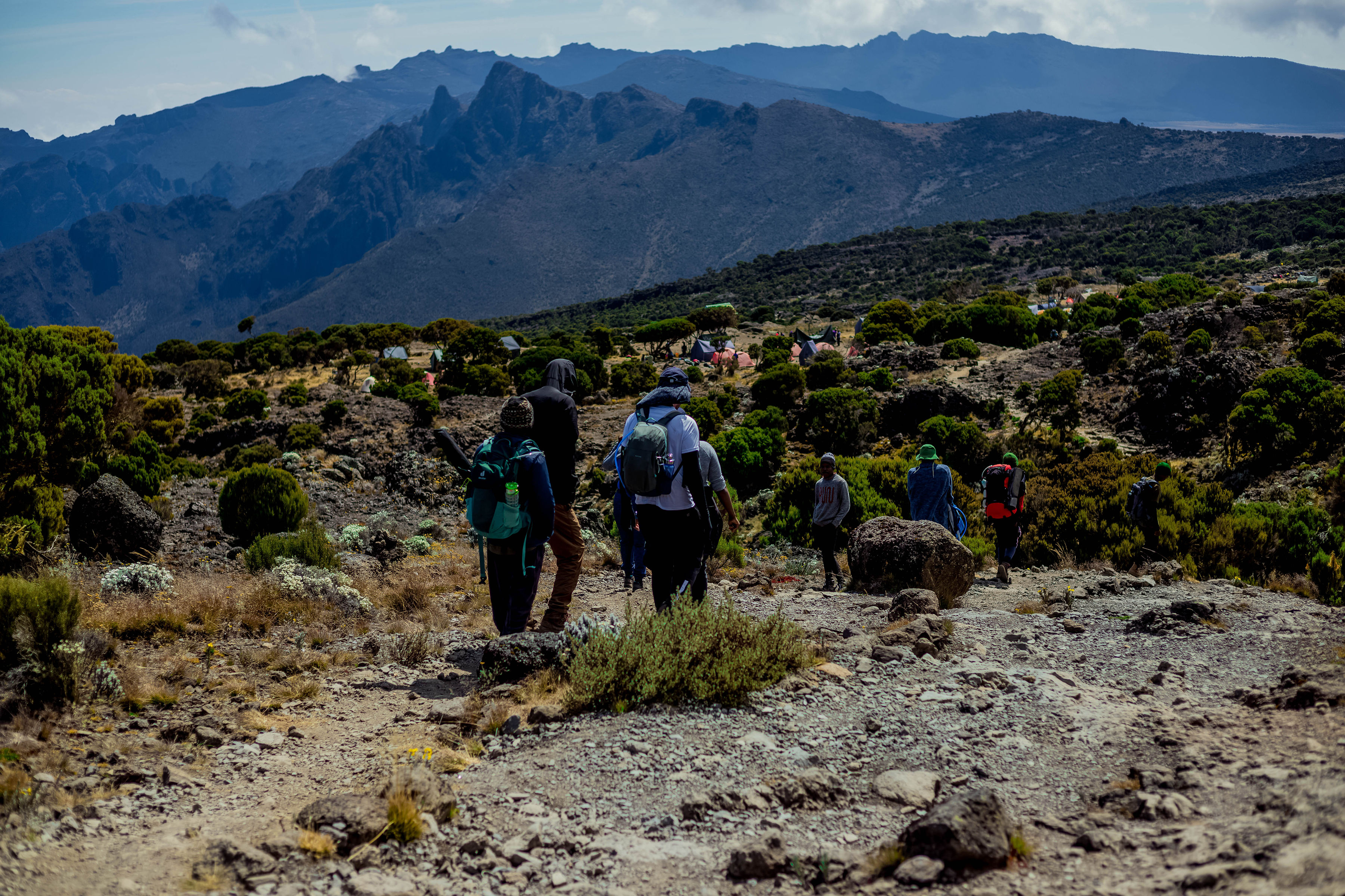 Heath and Moorland Kilimanjaro Lemosho Route